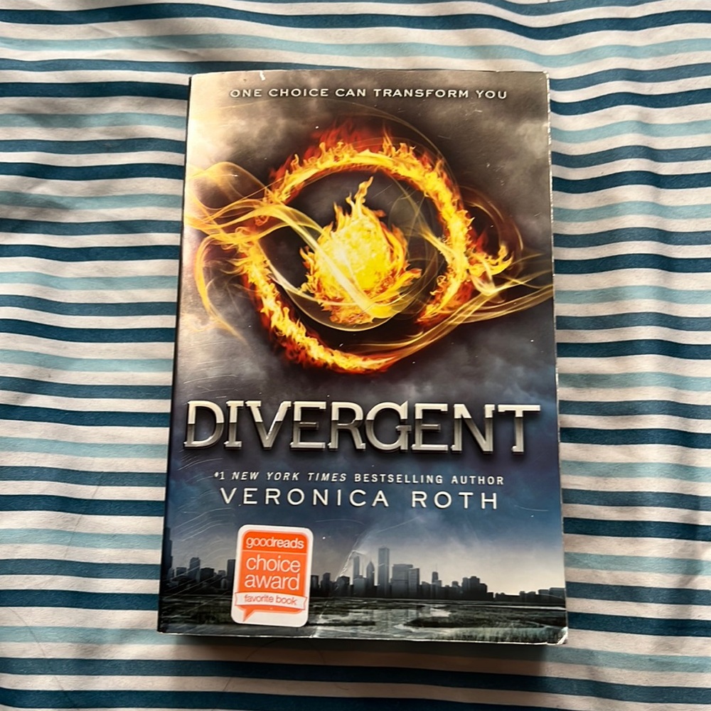 ✨2 for $10✨ Divergent Book